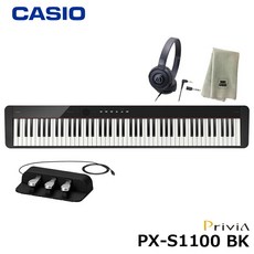 카시오px-s1100