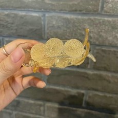 에트로포니테일