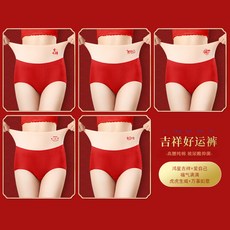 홍성파자미두수육조론
