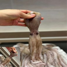 오햐 낙지 1KG 식당용식자재 수입냉동낙지 업소용냉동낙지 낙지냉동보관, 1개