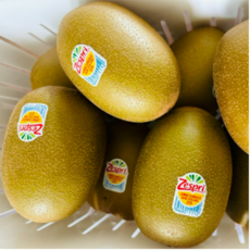 Zesfree 제스프리 뉴질랜드 골드키위 달콤한 생과일, 1박스, 1kg(중과 8~9과)