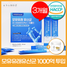 비비랩비피더스다이어트