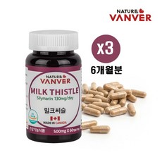 nhv밀크시슬