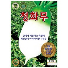 천수무씨앗