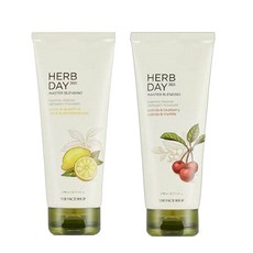 더페이스샵 허브데이 마스터블렌딩 페이셜폼[아세로라+레몬], 1개, 340ml