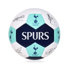 손흥수민사집행법