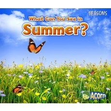 (영문도서) What Can You See in Summer? Paperback, Heinemann Educational Books, English, 9781484603550