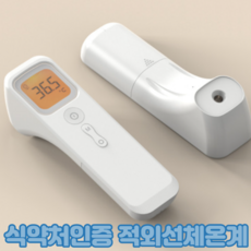 손목온도계