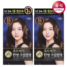 리엔 흑모비책 크림 염색약 짙은갈색 120g x2개, 단품