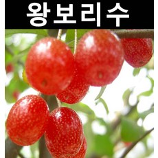 995a771a60e659ddfc0c6374d20c539a63bcb9a38118011a15e929c03bc9.jpg