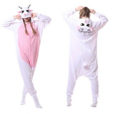 고양이전신제작