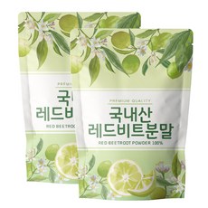 닥터릴리 레드비트 분말 가루 국산, 2개, 500g