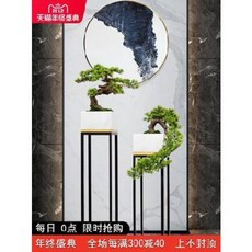 신차고사 개업식고사 선의 송진료 모델하우스 호텔 매물 신중국식 대리석 분재 플로어, 10 화이트+블랙스톤(1세트) 낮음