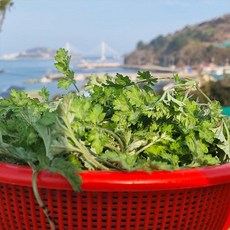 자연맛남 무농약 거문도 해풍쑥 1kg 2kg 4kg, 1박스, 02.무농약 거문도 해풍쑥 2kg