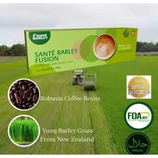 SANTE Barley Fusion Coffee 새싹보리있는커피 믹스, 4개