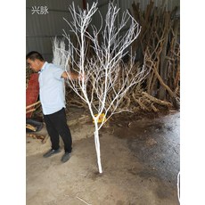 에스그루드라이왁스