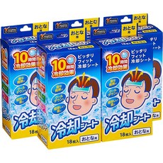 어른냉각시트