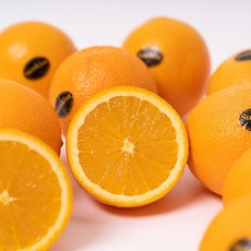과일꾼 블랙라벨 고당도 오렌지, 9.6kg (중대과 40과), 1개
