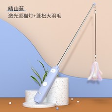 레이저포인트반려동물