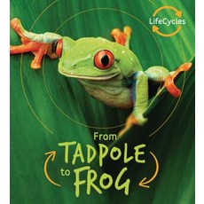 From Tadpole to Frog Library Binding, Qeb Publishing -- Quarto Li..., English, 9781786036247