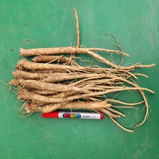 도라지 약도라지 흙 세척 생도라지 깐도라지 1kg 24년 국산, 종류, 1개, 흙약도라지(특상품) 1kg