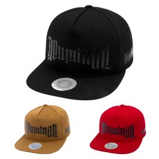 일루미나티빅타이포모자