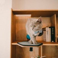 d537b4c5f26ccb4960e5a0fb66f0fc7682aea636f57f4ecc9598fabfe5f6.jpg