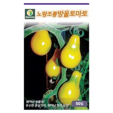 브랜드없음 노랑조롱방울토마토씨앗 50립[BP], 1개