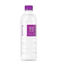 몽베스트 생수, 500ml, 1개