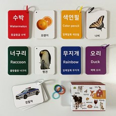 말놀이 실사 낱말카드 160장 한글/영어/의성어/의태어, 혼합색상