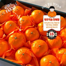 [산지 직송] 16brix 제주 특상급 프리미엄 명품 초달달 천혜향 명절 선물세트, 1개, <부직포추가> 선물용 대과 2kg