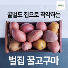 e9fd543ea8e6c49da4753c7575541300135759e1c317d886aefe5c7dddf4.png