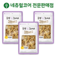 노름마치