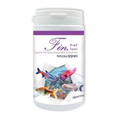 피쉬앤시사이드