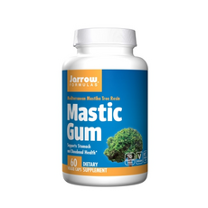 추천4masticgum