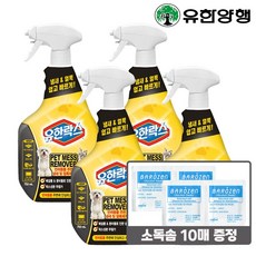 유한락스 펫메스 리무버 750ml 4개 + 소독솜 10매, 단품 - 유한락스펫메스