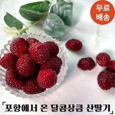 복분자산딸기