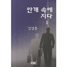 안개 속에 지다 1, 남도, 김성종 저
