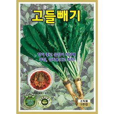 고들빼기씨앗 5000립, 1개