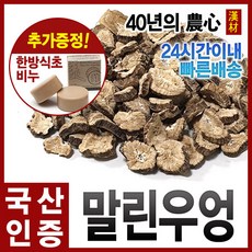 말린 우엉 1kg/국산(경북영천), 단품