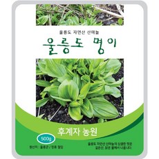 후계자농원 (울릉도 국내산)울릉도 산마늘 명이나물 장아찌 1kg