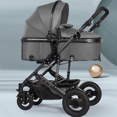 디럭스유모차대여