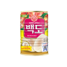 백도서핑