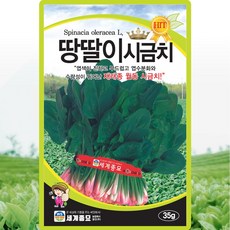 세계종묘 땅딸이 시금치 씨앗 35g 재래종 월동 시금치 종자, 1개