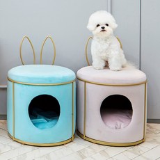 속초마그넷