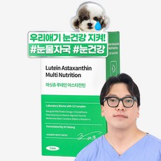 마싯츄 강아지 눈 간