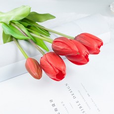 가렌꽃