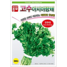 아시아종묘 고수씨앗 아시아향채고수 (500g), 1개