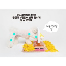 4세대 펫트너스 지능개발훈련 노즈워크 장난감, 1 - 펫트너스