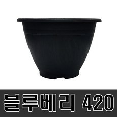 5a37969e066968ebfb665b5ef3e67b1c85197bf9c3773ede23bb4487b1b0.jpg